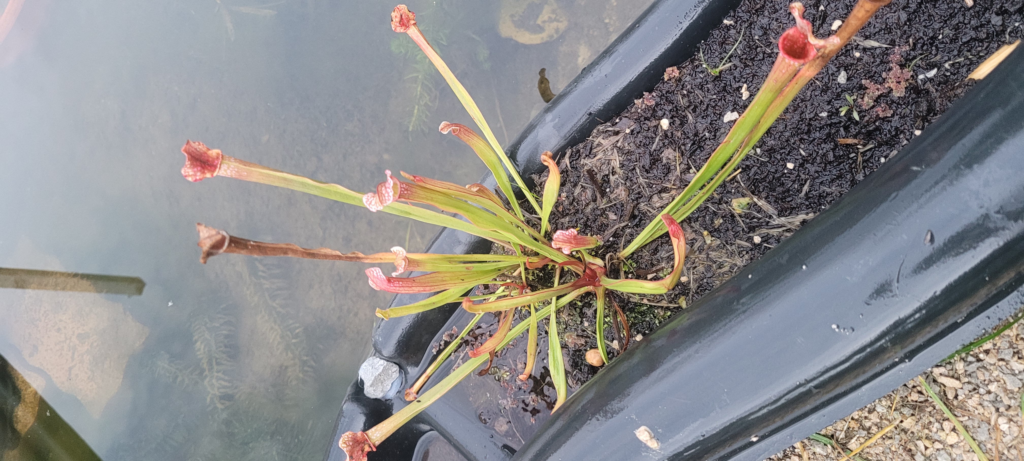 Photo de la réalisation