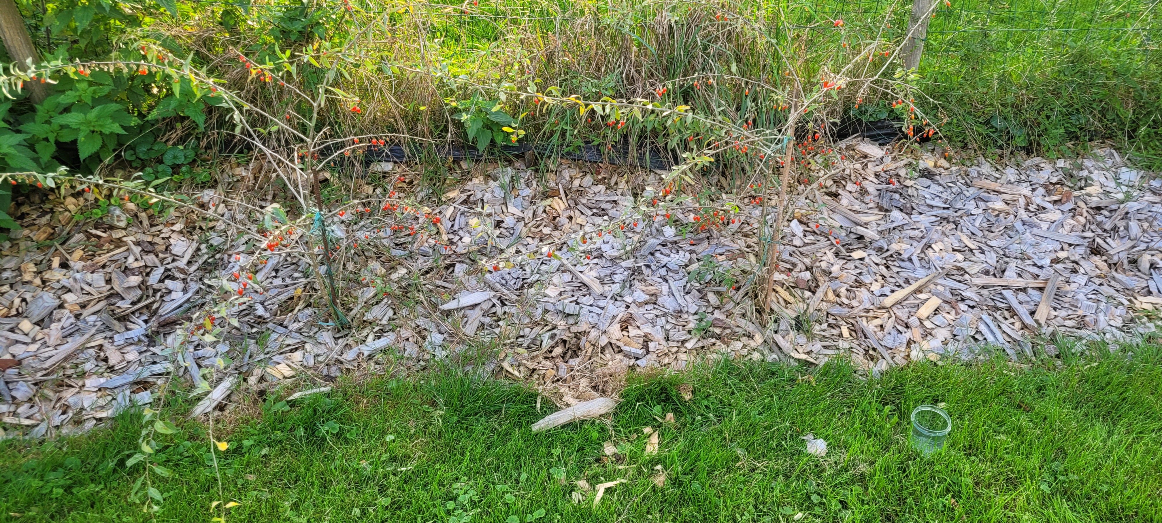 Photo de la réalisation