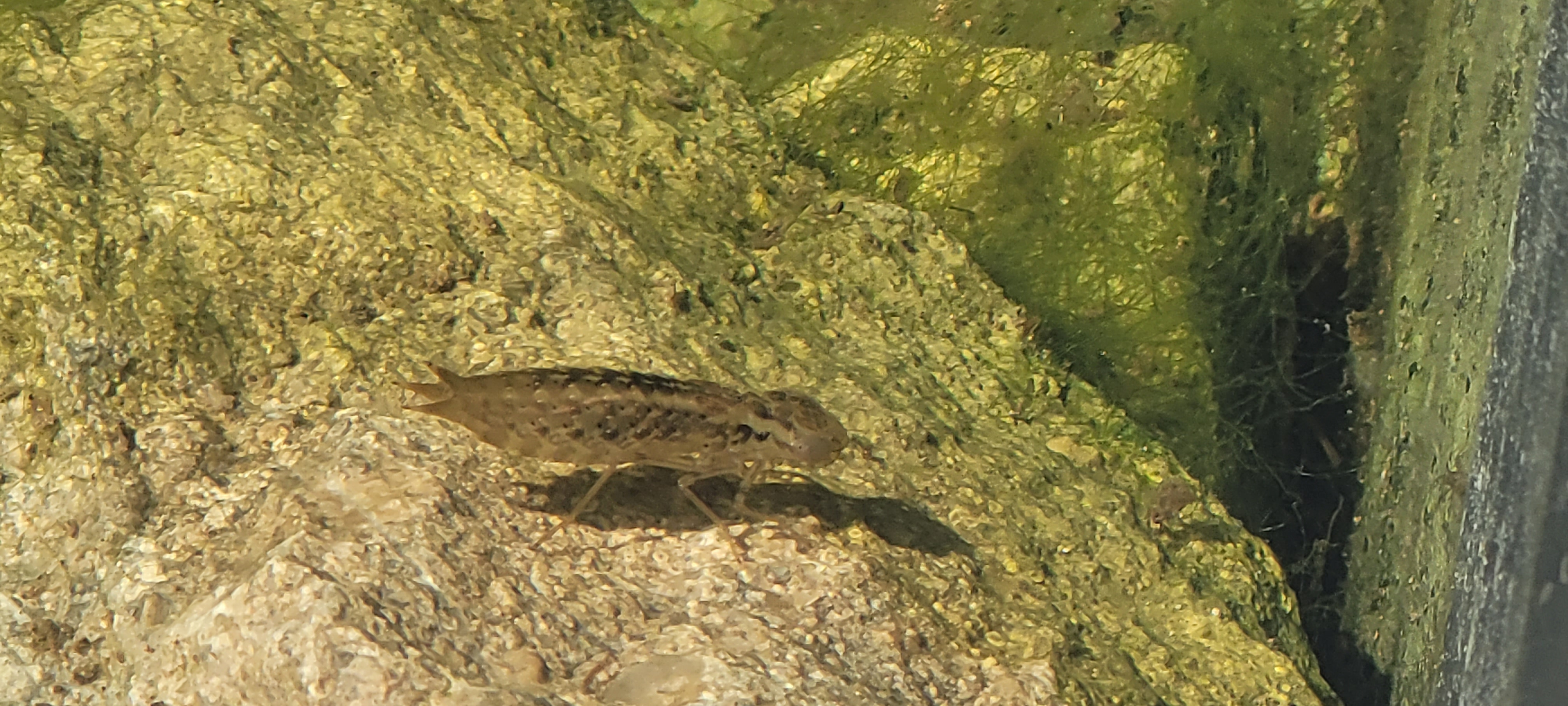 Photo de la réalisation